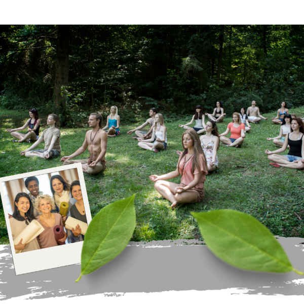 YOGA HEALERS TEACHER TRAINING PROGRAMME <br>(Ofline)<br>(300-hours)