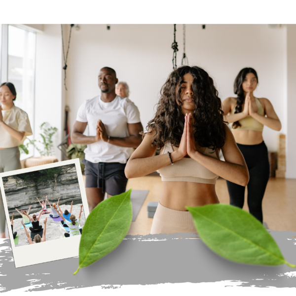 YOGA HEALERS TEACHER TRAINING PROGRAMME <br>(Ofline)<br>(500-hours)